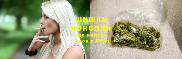 МДПВ Горняк
