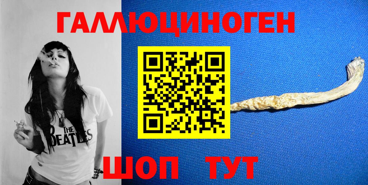 Горячий Ключ  Псилоцибиновые грибы Cubensis  Вход с VPN 