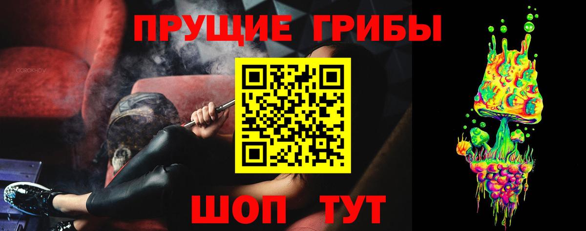 Псилоцибиновые грибы Psilocybe Горячий Ключ